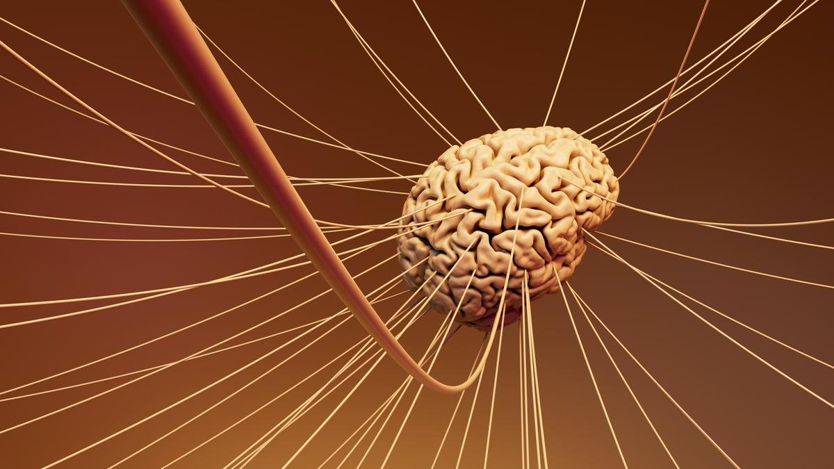 Major study opens window to the brain when an emotion first appears Major study opens window to the brain when an emotion first appears